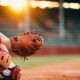 Baltimore orioles vs san francisco giants match player stats