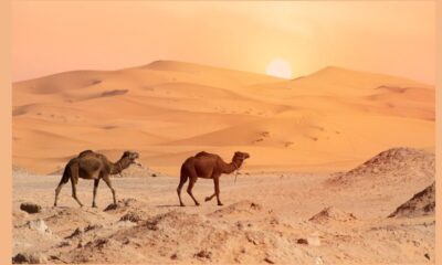 Travel in Morocco