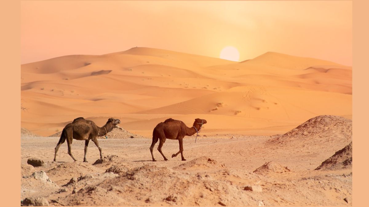 Travel in Morocco