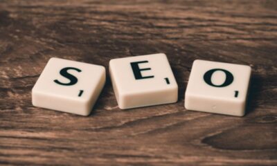 SEO Expert