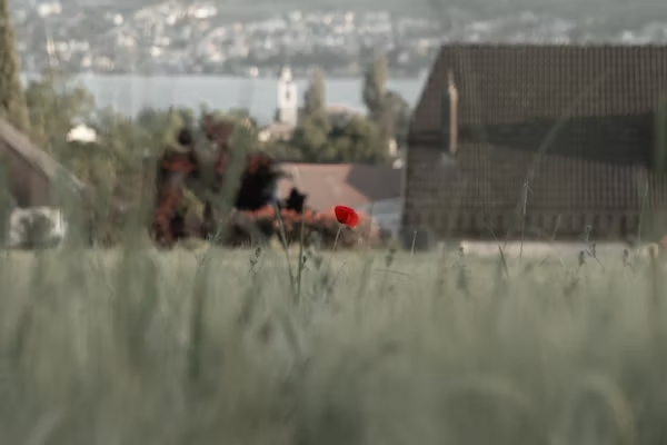 Husziaromntixretos