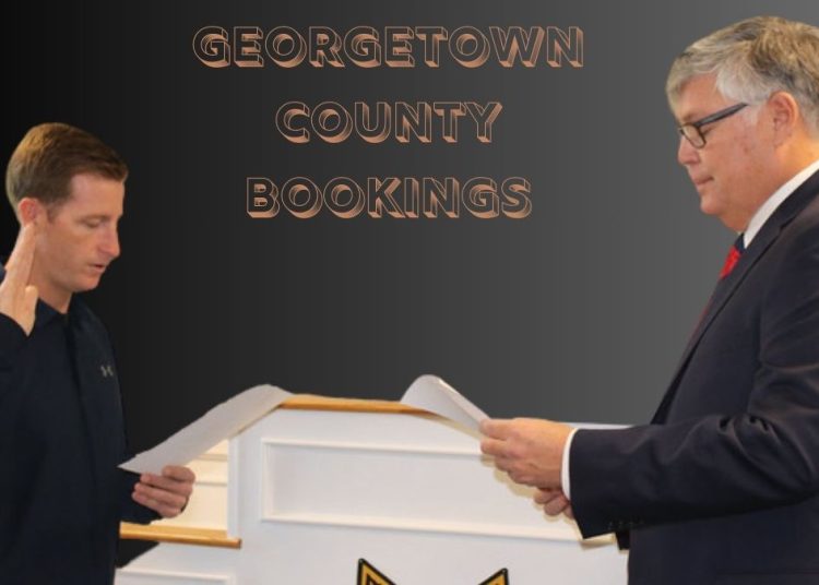 Georgetown County Bookings